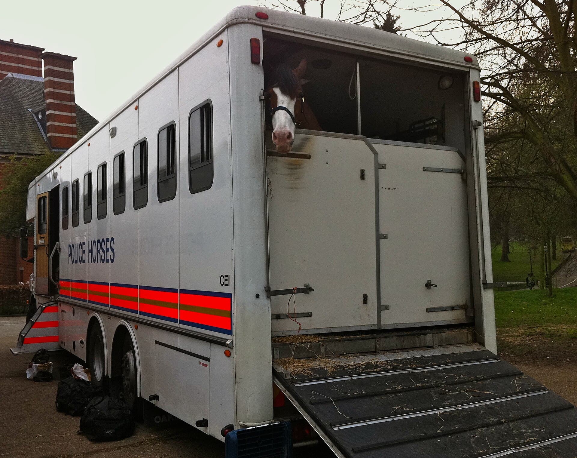 Australian two-horse float hitched to a utility vehicle on a rural road